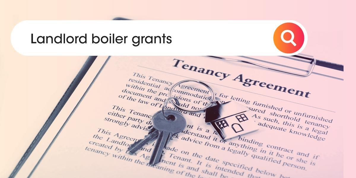 Landlord boiler grants